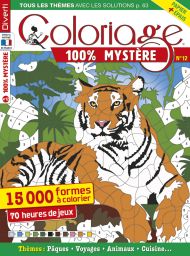Livre de Coloriage 100% Mystère n°11