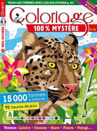 Coloriage 100% Mystère 14 - 15 000 formes à colorier - Magazine de Diverti Editions