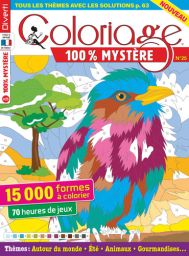 Coloriage 100% Mystère 25 - Thèmes : Autour du monde - Eté - Animaux - Gourmandises - Magazine de Diverti Editions