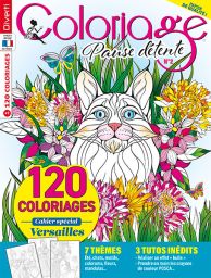 Un beau magazine à colorier avec 7 thèmes plus inspirants les uns que les autres et 3 tutos inédits révélés par SpaceDyn : Coloriage Pause détente 