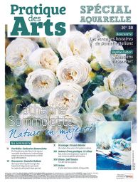 Cahier spécial AQUARELLE n°30 - Pratique des Arts