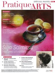Cahier spécial PASTEL 56 - Pratique des Arts