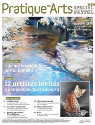 Cahier spécial PASTEL n°67 - Pratique des Arts