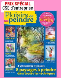 1 AN d'abonnement à Plaisirs de Peindre