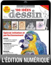 TELECHARGEMENT : 100 idées DESSIN en version numérique