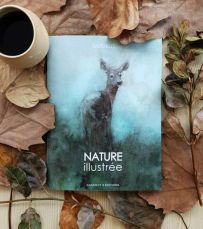 Nature illustrée – Sandrot