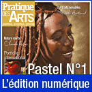Téléchargement du Cahier spécial Pastel n°1 - Pratique des Arts