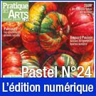 Téléchargement du Cahier spécial Pastel n°24 - Pratique des Arts