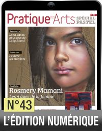 TELECHARGEMENT - Cahier Pastel n°43 - Pratique des arts - Achat Diverti Store