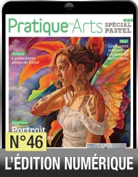 TELECHARGEMENT : Cahier Spécial Pastel n°46 - Pratique des Arts - Achat Diverti Store
