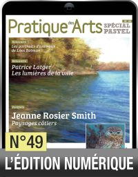 TELECHARGEMENT - Cahier Spécial Pastel 49 - Pratique des Arts - Achat Diverti Store