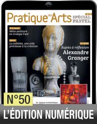 TELECHARGEMENT - Cahier Spécial Pastel 50 - Pratique des Arts - Achat Diverti Store