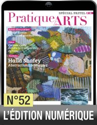TÉLÉCHARGEMENT - Cahier Spécial Pastel 52 - Pratique des Arts - Achat Diverti Store
