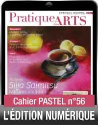 TÉLÉCHARGEMENT - Cahier spécial PASTEL 56 - Pratique des Arts