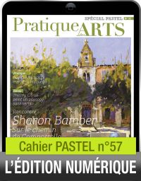 TÉLÉCHARGEMENT - Cahier spécial PASTEL n°57 - Pratique des Arts