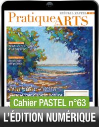TÉLÉCHARGEMENT - Cahier spécial PASTEL n°63 - Pratique des Arts