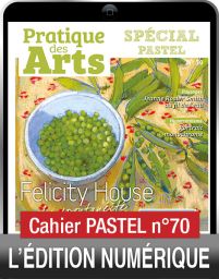 TÉLÉCHARGEMENT - Cahier spécial PASTEL n°70 - Pratique des Arts