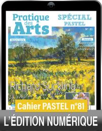 TÉLÉCHARGEMENT - Cahier spécial PASTEL n°81 - Pratique des Arts
