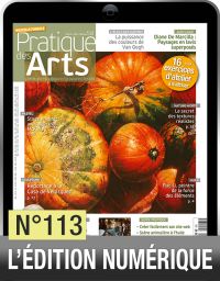 Profitez de la version numérique du magazine Pratique des Arts n°113