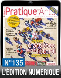 TELECHARGEMENT - Pratique des Arts numéro 135 - Le Tour de France des artistes - Achat Diverti Store