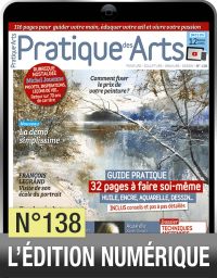 TELECHARGEMENT - Pratique des Arts 138 - Achat Diverti Store