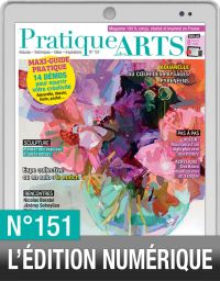 TÉLÉCHARGEMENT : Pratique des Arts n°151 en version numérique