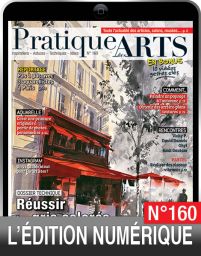 TÉLÉCHARGEMENT : Pratique des Arts n°160 en version numérique Diverti Editions