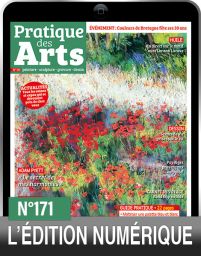 TÉLÉCHARGEMENT : Pratique des Arts n°171 en version numérique