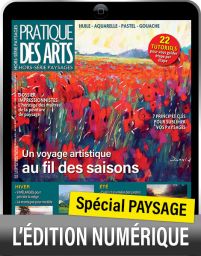 TELECHARGEMENT : Spécial PAYSAGE - Hors-série Pratique des Arts