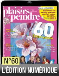 Plaisirs de peindre numerique 60
