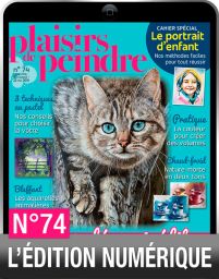 TELECHARGEMENT : Plaisirs de Peindre n°74 version numérique