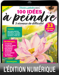 TELECHARGEMENT - 100 Idées à peindre - Plaisirs de Peindre hors-série spécial n°3 