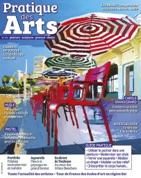 Le magazine Pratique des Arts n°170 achat magazine Divertistore
