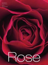 Rose - Natalia Fedeli - White Star - Achat livre sur Divertistore