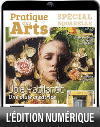 Dans ce cahier de 16 pages 100% aquarelle, retrouvez les aquarellistes Joie Pabilando, Alain Barbier, Didier Brot, Martine Jolit et Annick Belpois - Achat supplément sur Divertistore - Alain Barbier