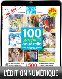 TÉLÉCHARGEMENT  : 100 idées faciles aquarelle  - Editions du Chevalet n°18 - Paysage