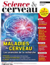 Toute l'actualité sur le cerveau sont dans le nouveau numéro de Science et Cerveau numéro 13 : les dangers du gaz hilarant, comportement du cerveau dans le coma, les maladies du cerveau et les traitements