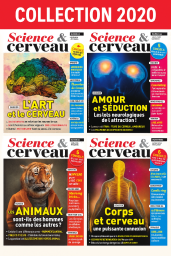 Collection 2020 - SCIENCE ET CERVEAU : 4 numéros collectors
