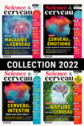 Explorez 4 numéros captivants de Science et cerveau : neurosciences, santé mentale, émotions, mémoire et innovations du cerveau. - Achat magazine sur Divertistore - Collection 2022