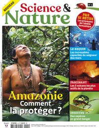 Science et Nature n°1 - Amazonie, comment la protéger ? - Les prouesses de l'abeille domestique - Les incroyables capacités du seigneur des mers - Les 5 volcans les plus actifs de la planète - Insectes des espèces en grand danger -  Diverti Editions