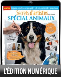 TÉLÉCHARGEMENT  - Spécial Animaux - Secrets d'artistes hors-série n°1 - Magazine de Diverti Editions