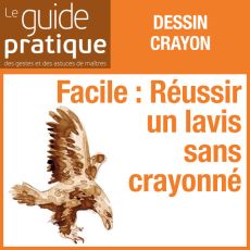 Facile : réussir un lavis sans crayonné - Guide Pratique Numérique