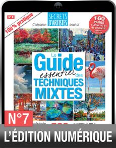 TÉLÉCHARGEMENT - Le Guide des TECHNIQUES MIXTES