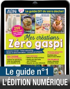 TÉLÉCHARGEMENT : Mes créations Zéro Gaspi n°1 en version numérique