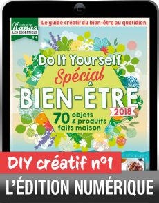 TÉLÉCHARGEMENT : Do It Yourself spécial BIEN-ÊTRE n°1