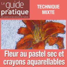 Fleur en vase, pastel sec et crayons aquarellables - Guide Pratique Numérique