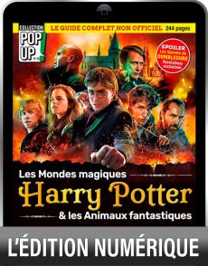 Version Digitale - HARRY POTTER, le guide non officiel - Pop Up n°8