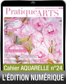TÉLÉCHARGEMENT - Cahier spécial AQUARELLE n°24 - Pratique des Arts