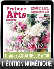 TÉLÉCHARGEMENT - Cahier spécial AQUARELLE n°38 - Pratique des Arts