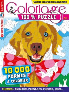 Coloriage 100% Mystère 14 - 15 000 formes à colorier - Magazine de Diverti Editions